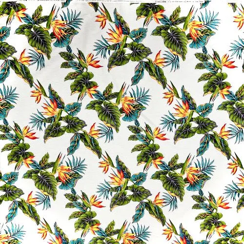 Birds of paradise & Palm leaf | White 0223