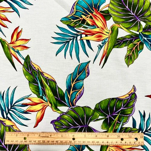 Birds of paradise & Palm leaf | White 0223