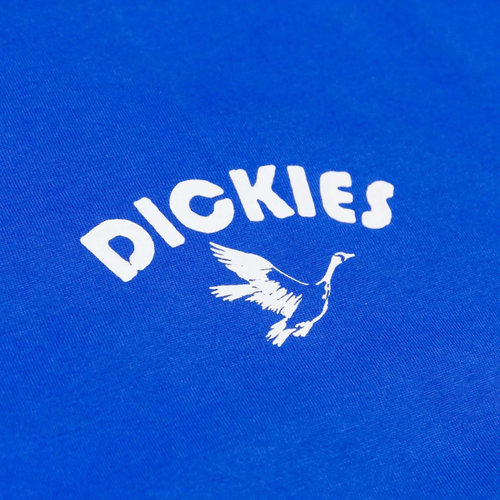 Dickies Goose T-Shirt - Turkish Sea